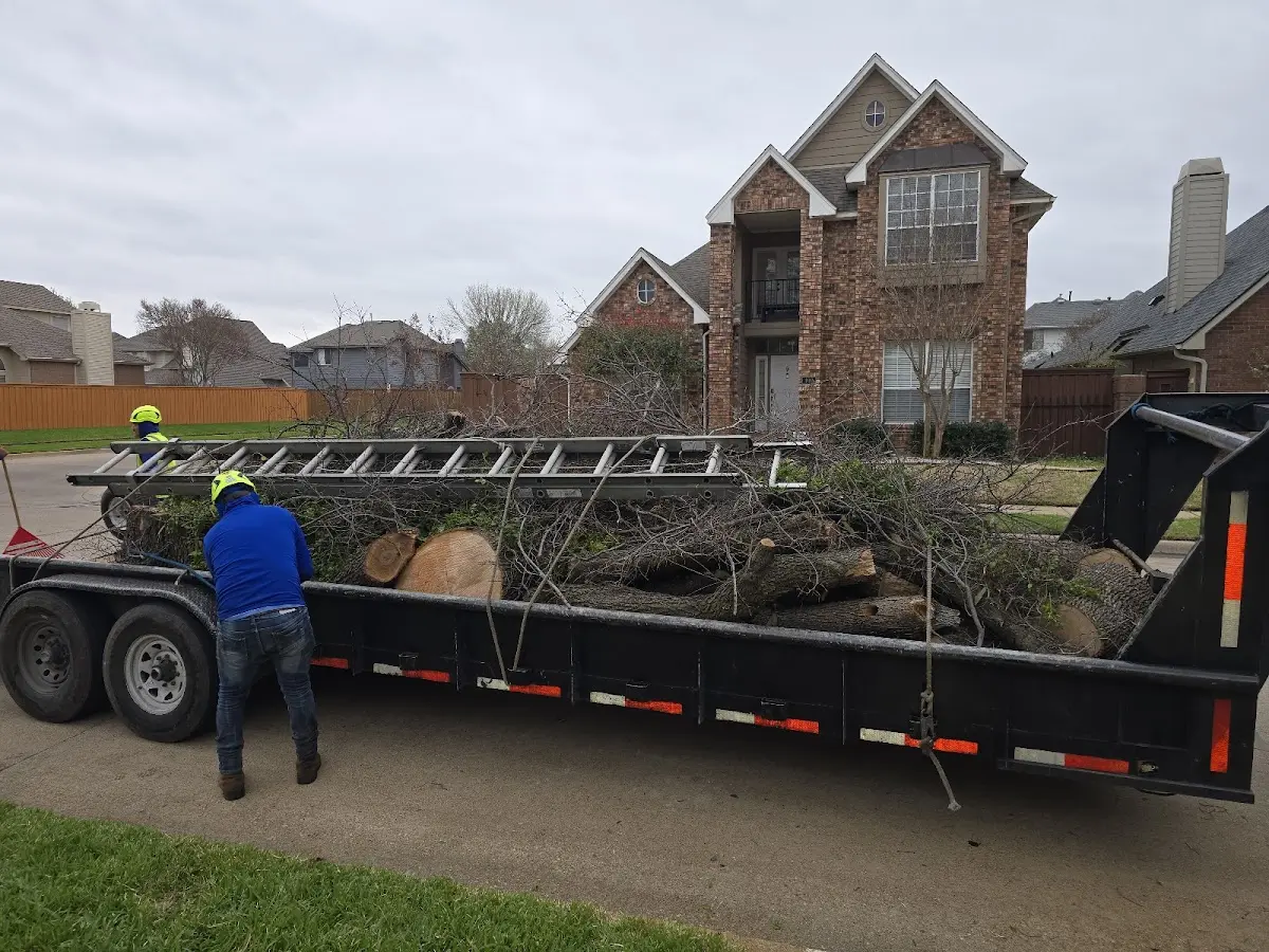 Expert Tree Fertilization with proper safety equipment in Pray
